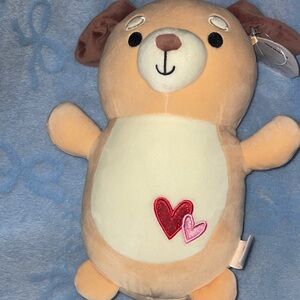 Adorable Squish mellow Sam the Dog